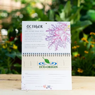 Seed calendar